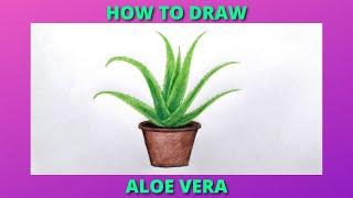 How to draw Aloe Vera Plant with color pencil / Easy step by step method for beginners