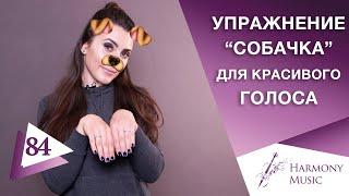 Упражнение «собачка» для красивого голоса. Урок вокала 84.