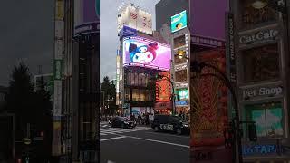 Shinjuku 3D Neko-Chan