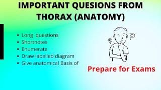 Anatomy Important Questions || Thorax Important Topics || Anatomy 1st Year Medical || Exam Questions