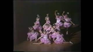 Maxey Studio of Dance Recital 1993   The 10th Anniversary Show!