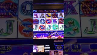 10 Symbol Pay Jackpot on Twin Win Slot  The King of Twin Win 
