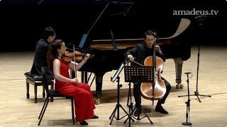 Amatis Trio(2nd Prize) - 2023 Schoenfeld International String Competition CHAMBER DIVISION