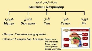 Тамгалардын махраждары