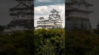 The Foolish Daimyo: A Castle Mistake That Destroyed a Clan #historyhotspot