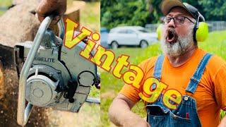 Vintage Homelite Zip Chainsaw Running Perfectly!  50cc Chainsaw Test!