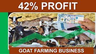 Complete Guide for Starting A Goat Farming Business & Your Return of Investment for 1 Buck & 5 Does