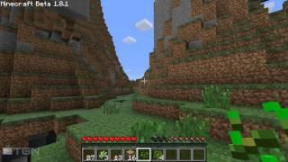  Krafty Craft - A whole new world - TGN