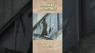 BU HASTANEDE KİM YAŞIYOR ? #tuhaf #merak #bilim #ilginç #bilgi