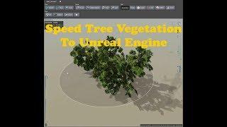 Speed Tree Vegetation to Unreal Engine: Bushes