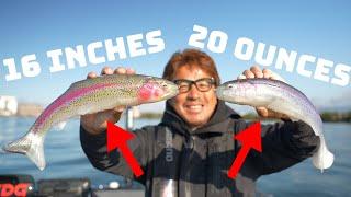 This Japanese Fishing Company Makes The Craziest Lures!