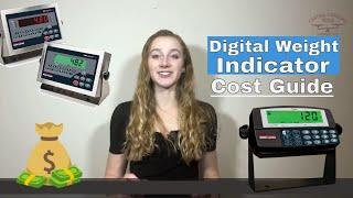 Digital Weight Indicators Cost Guide for Weighing Scales