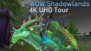 [4K UHD] World of Warcraft Shadowlands Flying Tour (From Ardenweald to Bastion)