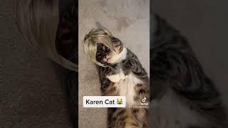 Karen Cat #cat #shorts