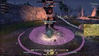 ESO Veteran Earthen Root Enclave Templar Tank