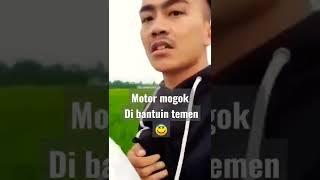 viral sawah