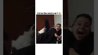 "My cat, my buddy" 