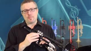 Allora Aere Series Plastic Trumpet Video Review