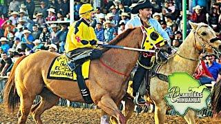 Corrido de Manuel Gutierrez "EL CARITAS" | Corridos y Carreras de Caballos