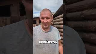 Разбираем стайки #бурятия #стройка #деревня #семья #деревенскаяжизнь #жизньвдеревне #домвдеревне