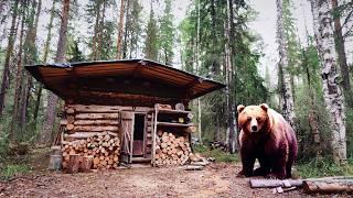 BEAR CAME to MY TINY LOG CABIN and BROKE the WINDOW | Life in a OFF GRID LOG CABIN