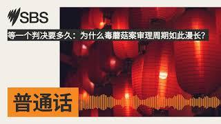 等一个判决要多久：为什么毒蘑菇案审理周期如此漫长？ | SBS Mandarin - SBS 普通话电台