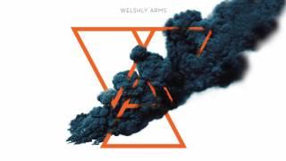 Welshly Arms - The Touch (Position Music)