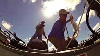 Catching Blue Catfish On Humps in Summer