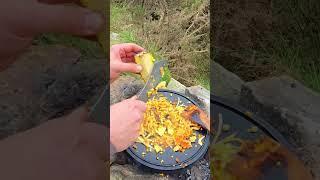 Craving Mexican? These Spicy Enchiladas Are It   | ASMR Cooking in Nature