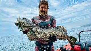 Shooting Oregon Coast Monsters