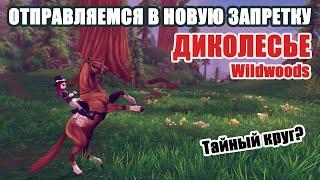 Отправляемся в ЗАПРЕТКА ДИКОЛЕСЬЯ STAR STABLE ONLINE | We go to the forbidden zone Wildwoods 