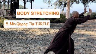 5-Minute BODY STRETCHING | Qigong : The TURTLE