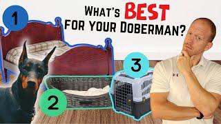 Where Should Your Doberman Sleep at Night? Crates, Dog Beds, Co-sleeping