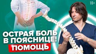 5 Упражнений для уменьшения ОСТРОЙ БОЛИ в спине. Как снять боль в пояснице.