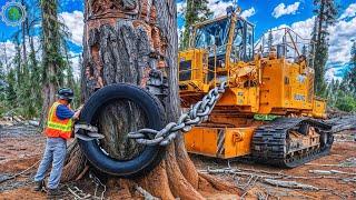 Extreme Dangerous Fastest Big Chainsaw Cutting Tree Machines | Monster Stump Removal Excavator ▶49