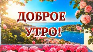 ДОБРОЕ УТРО! ПРЕКРАСНОГО  ДНЯ!  ПУСТЬ С УТРА ВАМ СЧАСТЬЕ УЛЫБНЁТСЯ!