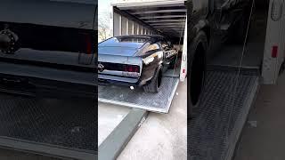 The Ultimate Predator - 1969 Ford Mustang Fastback