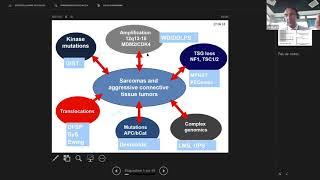 SELNET educational Webinar 18.2.21: Novel therapies in sarcoma