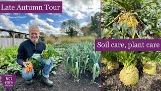 Carrot| spinach| Cauliflower and celeriac plus no dig green manures and Quick bed prep pre-winter