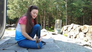 Life in the Woods - Hand-feeding Animals & A Bear Visit// VLOG