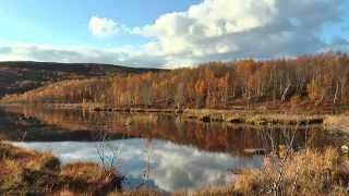 Мурманск. Осень в мурманских сопках.