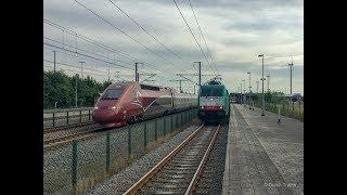 Thalys komt met 300 km/h door station Noorderkempen!