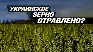 Подарок Путина Вашингтону, США кинет Израиль, почему на самом деле протестуют фермеры? Игорь Нагаев