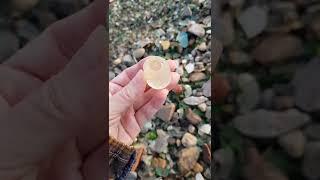 sea glass hunting