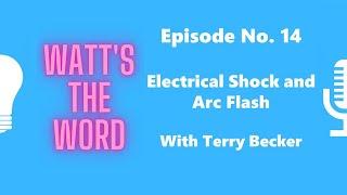 Episode No. 14 - Electrical Shock and Arc Flash with Terry Becker