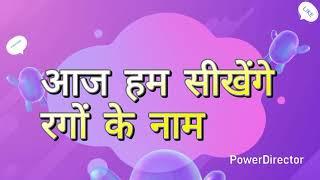 "Learn Colors in Hindi | रंगों के नाम बच्चों के लिए | Vishu Kids Tv "