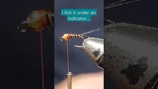 Easy to TIE JIG NYMPH || A great fly on so many Rivers. #flyfishing #fishing #fish