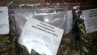 Полезные Травы Для Шиншилл!!! - Useful Herbs For Chinchillas!!!