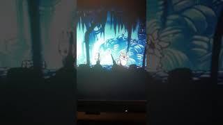 Это есть баги в Hollow Knight