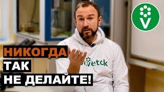 ТОП-10 ВРЕДНЫХ СОВЕТОВ для огородников